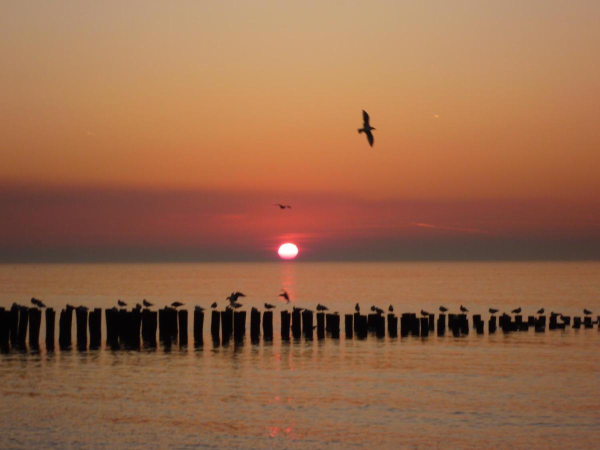 Vakantiehuis Domburg Do12 Экстерьер фото